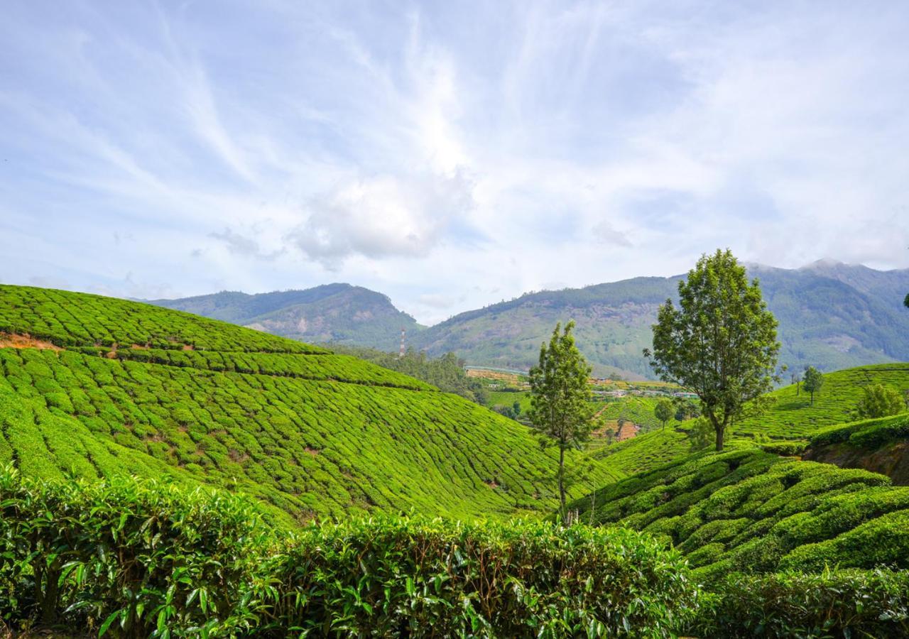 Arivikad Tea Bungalow Munnar By Voye Homes Suryanelli Exterior foto